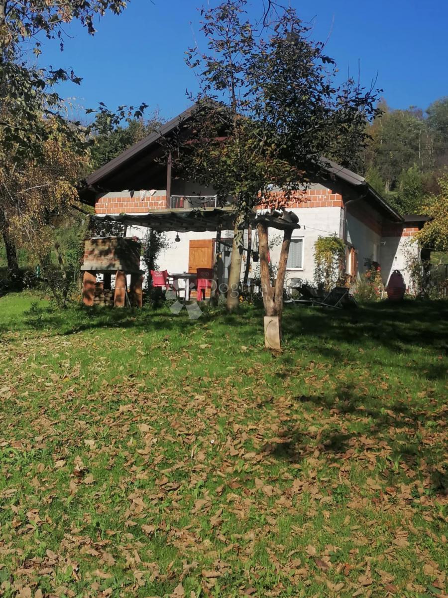 RAKITNICA