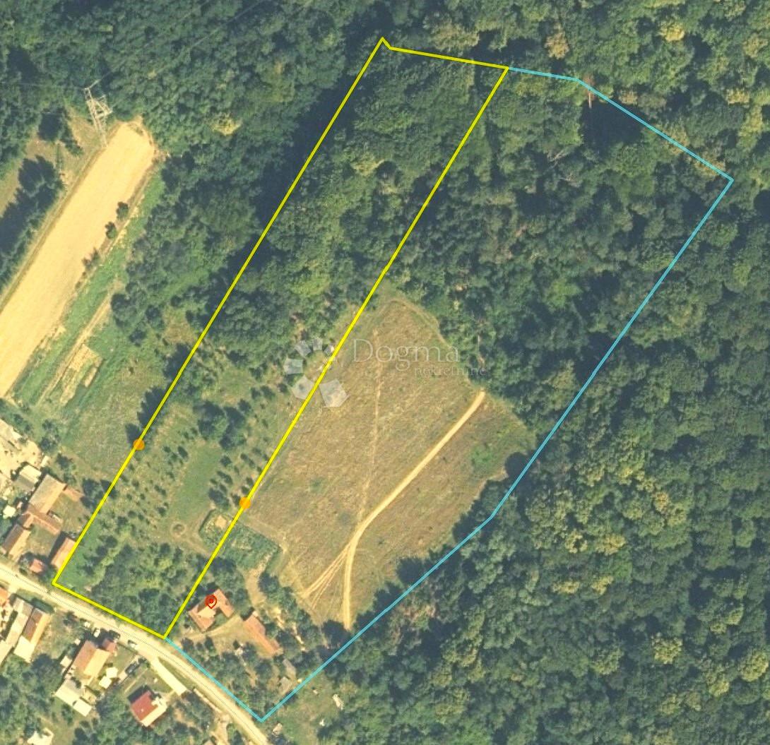 LONDŽICA