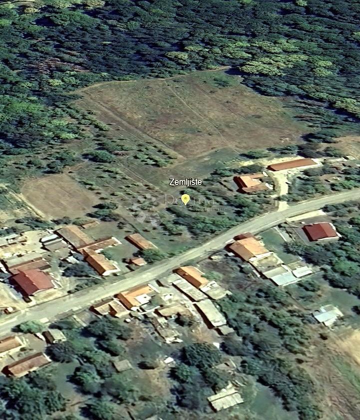 LONDŽICA