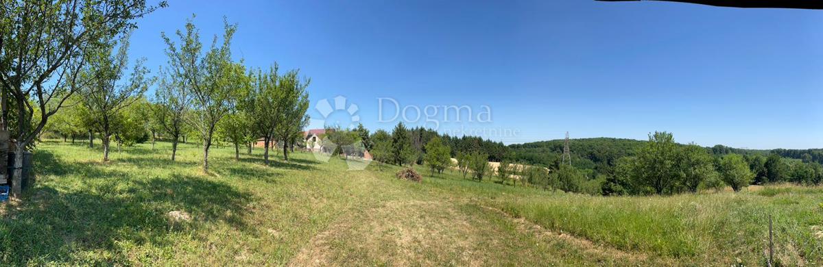 LONDŽICA