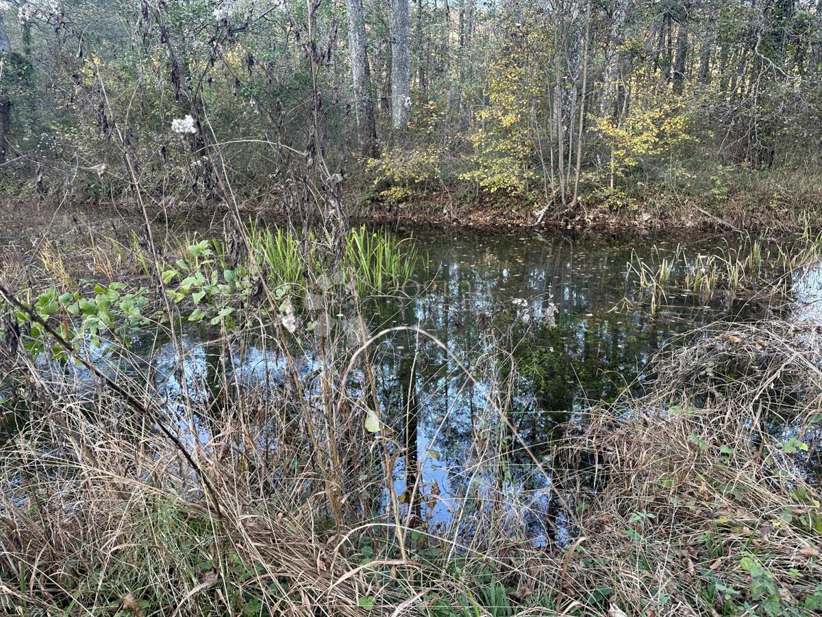 BRUŠANE