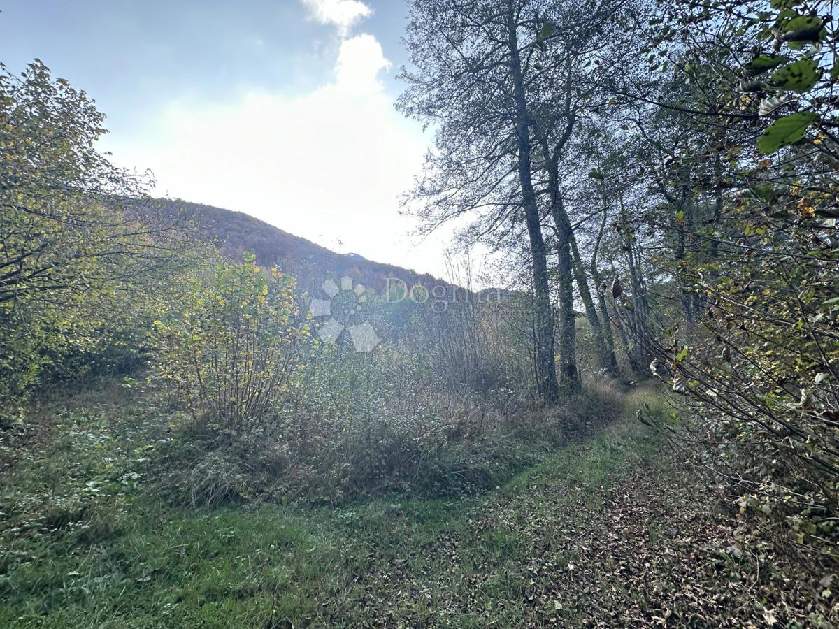 BRUŠANE