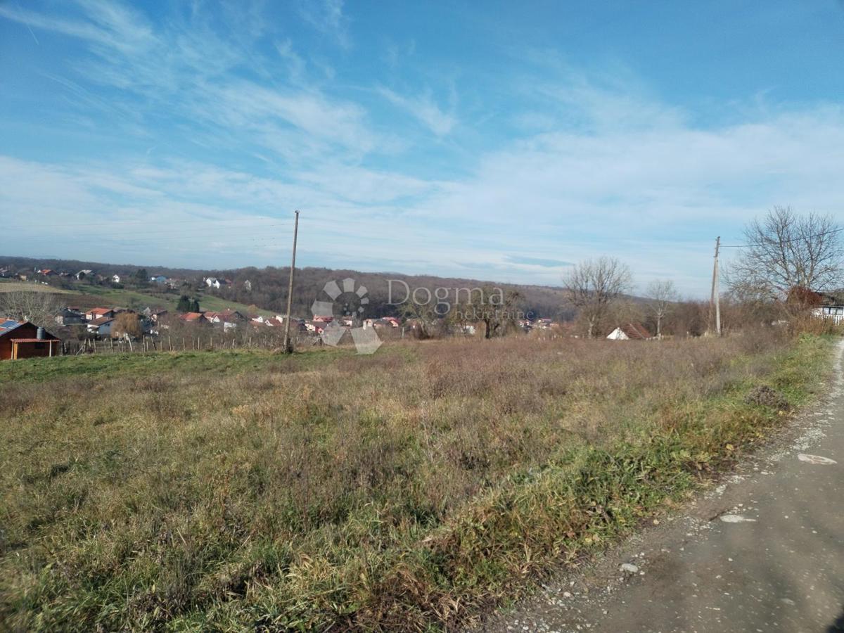 KRIŽEVCI