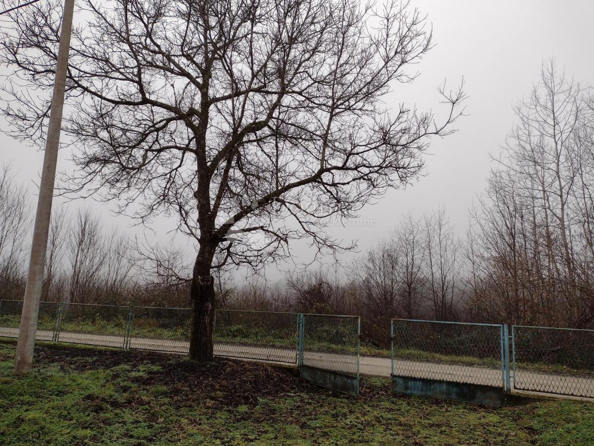 PJEŠČANICA