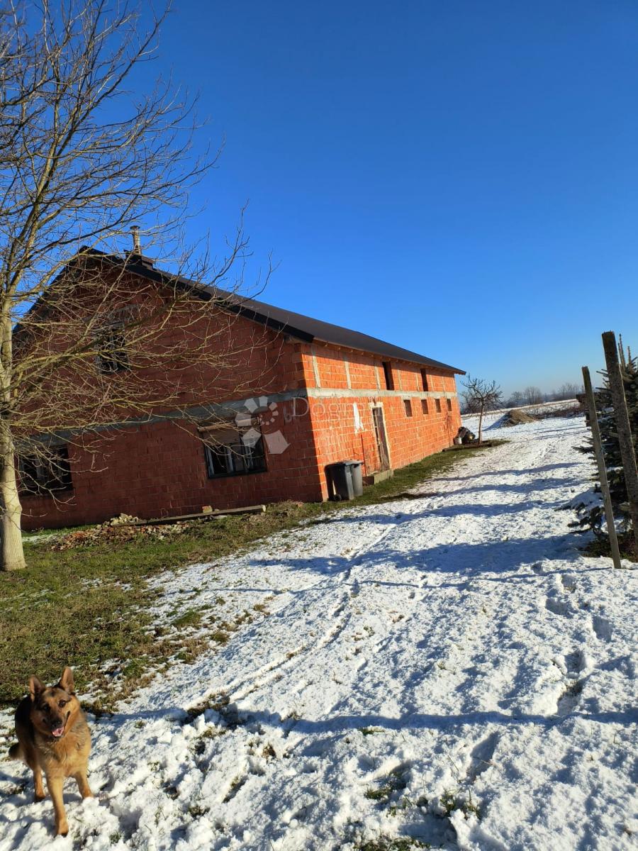 SRAČINEC