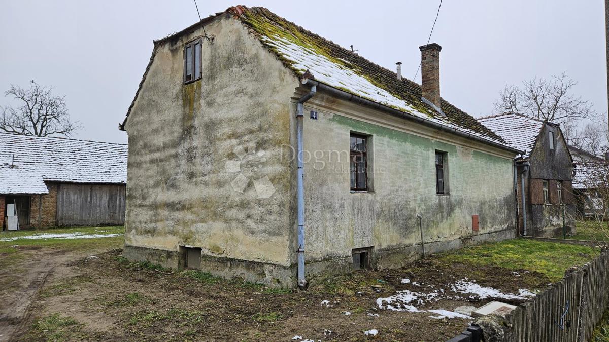 RUGVICA