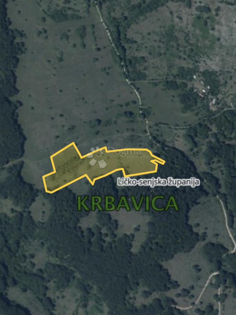 KRBAVICA