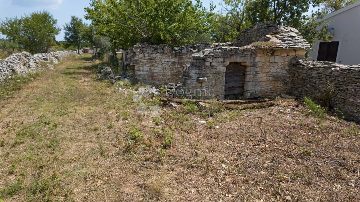 VODNJAN