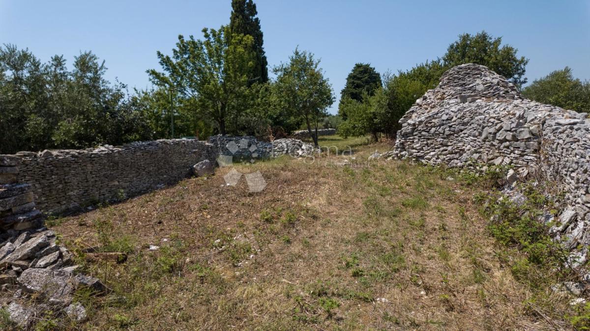 VODNJAN