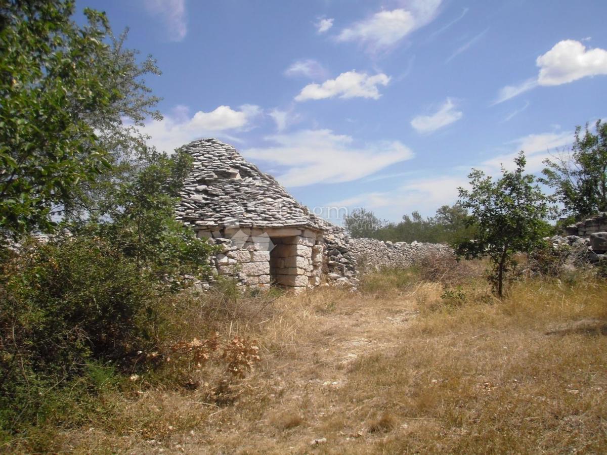 VODNJAN