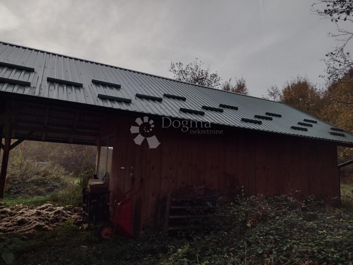 BLATUŠA