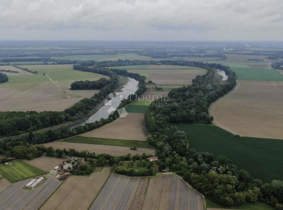 KRIŽNICA