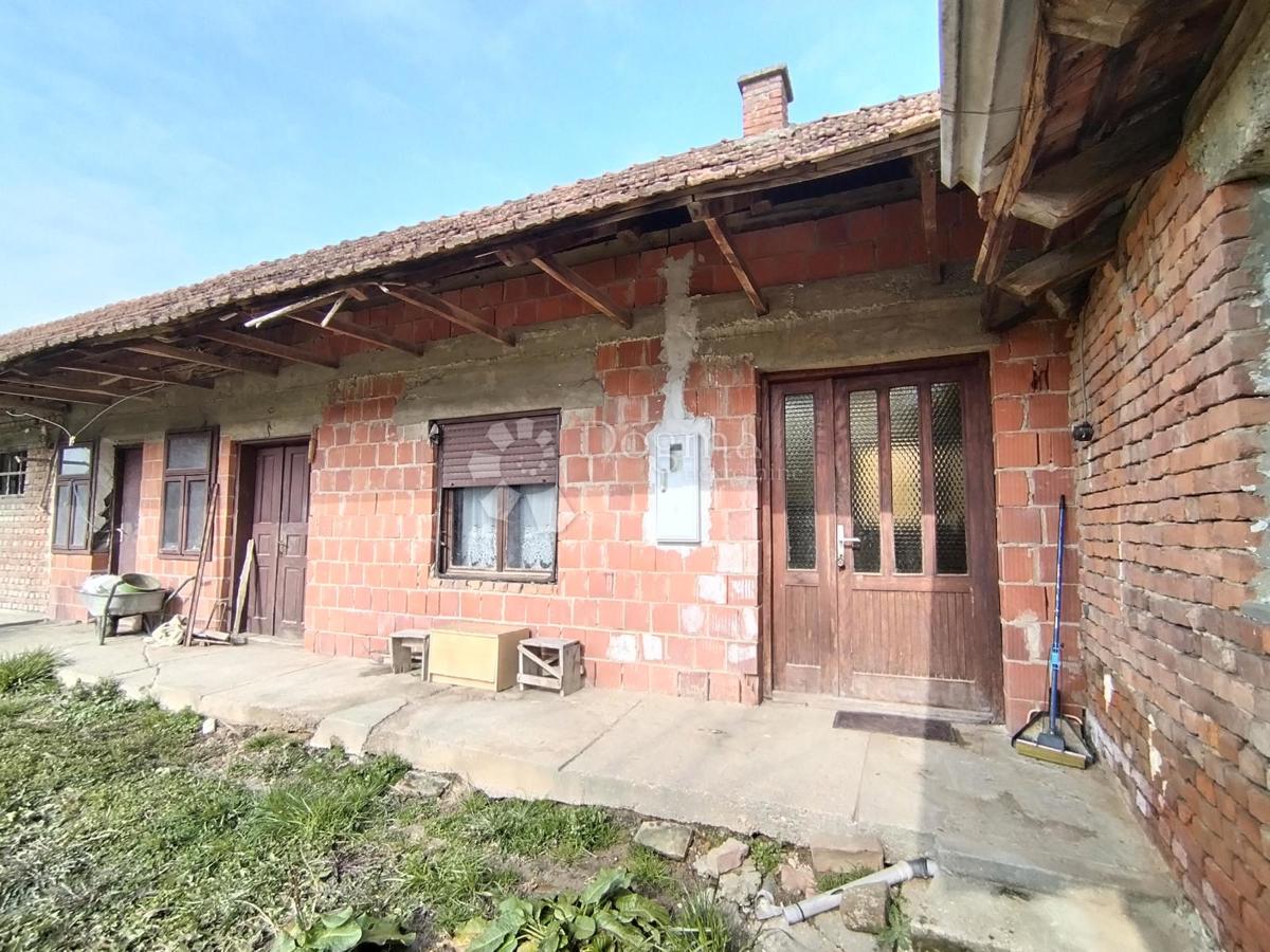 DUBRAVSKI MARKOVAC