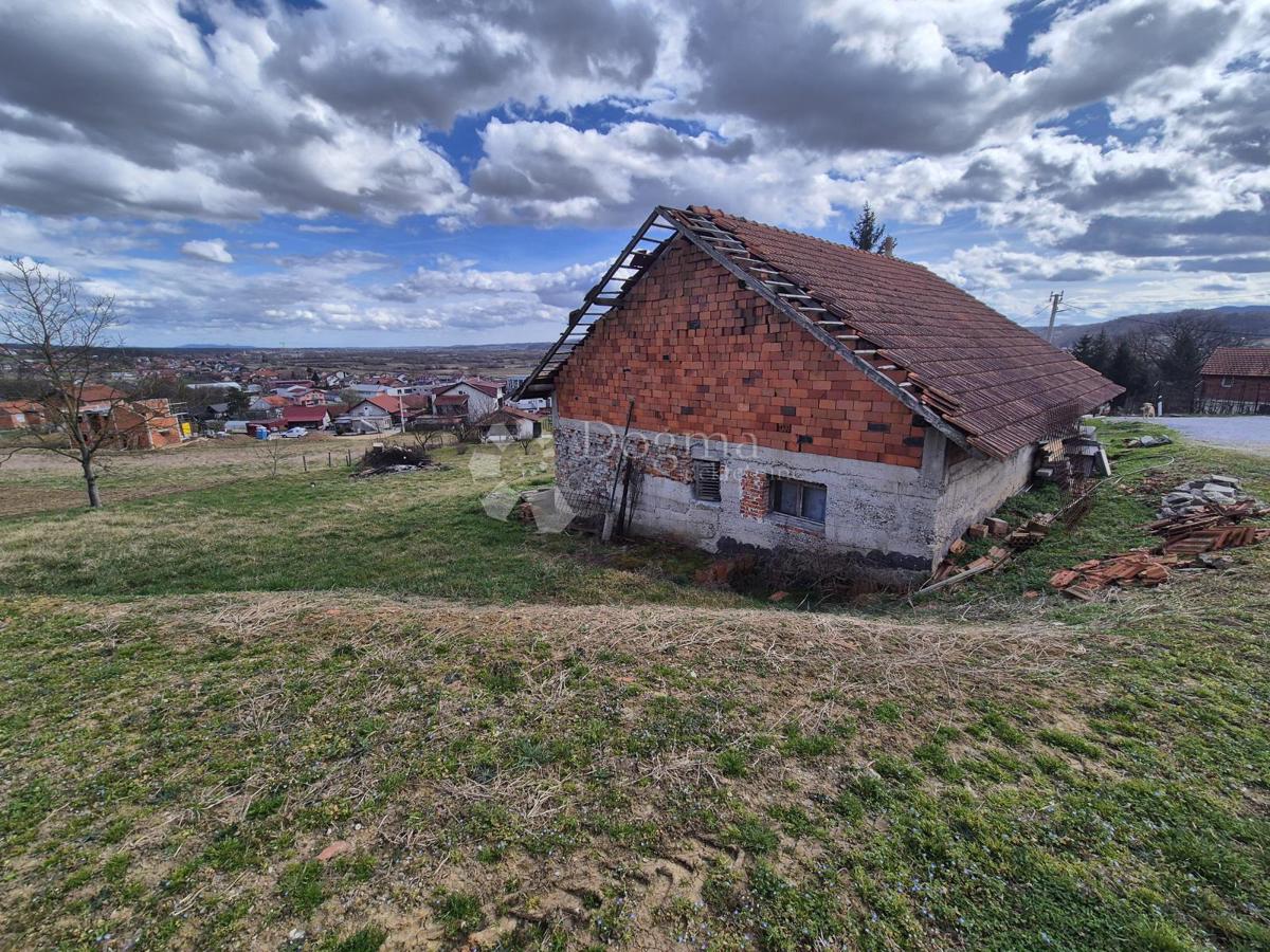 BEDEKOVČINA
