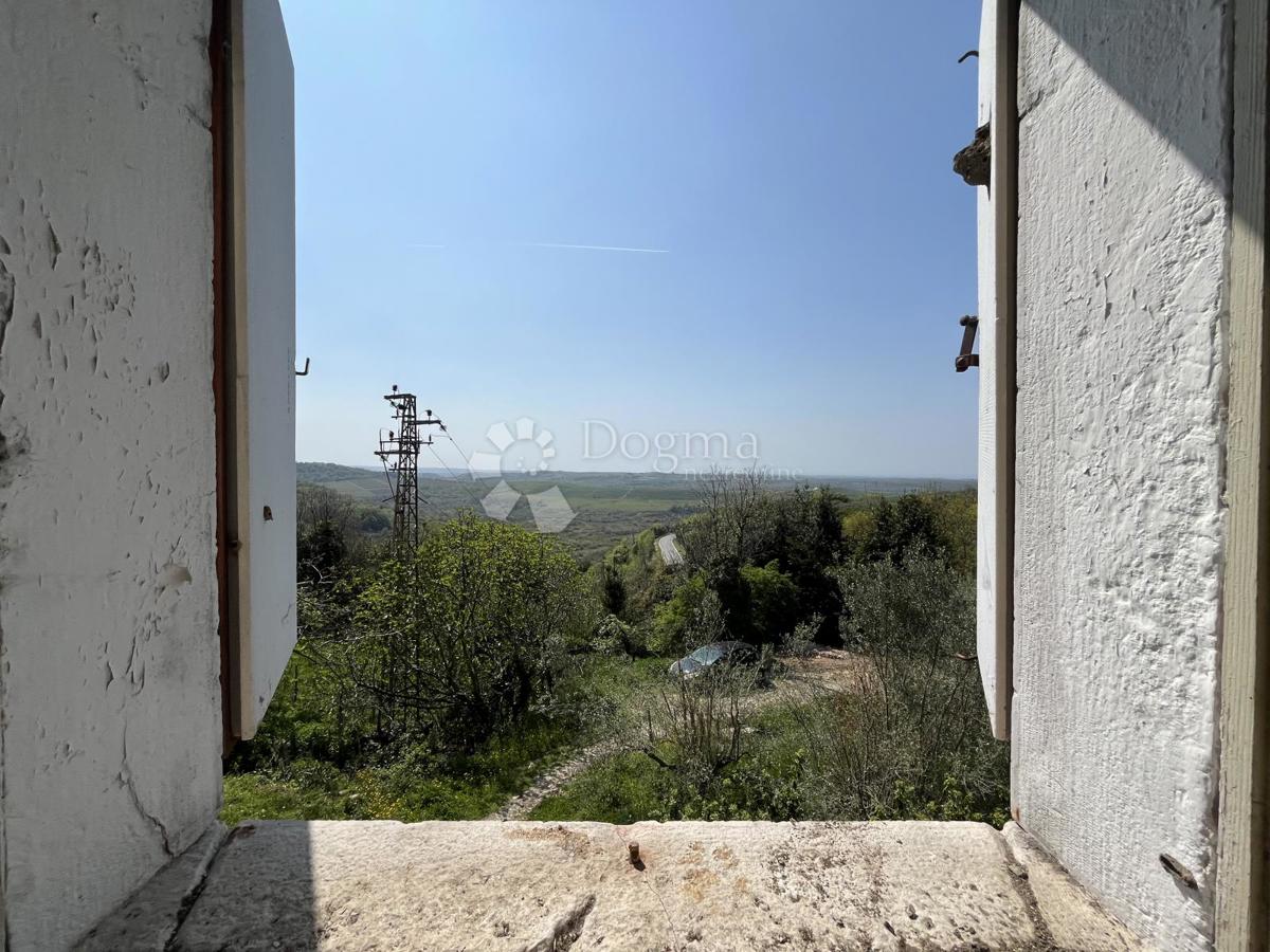 BUJE