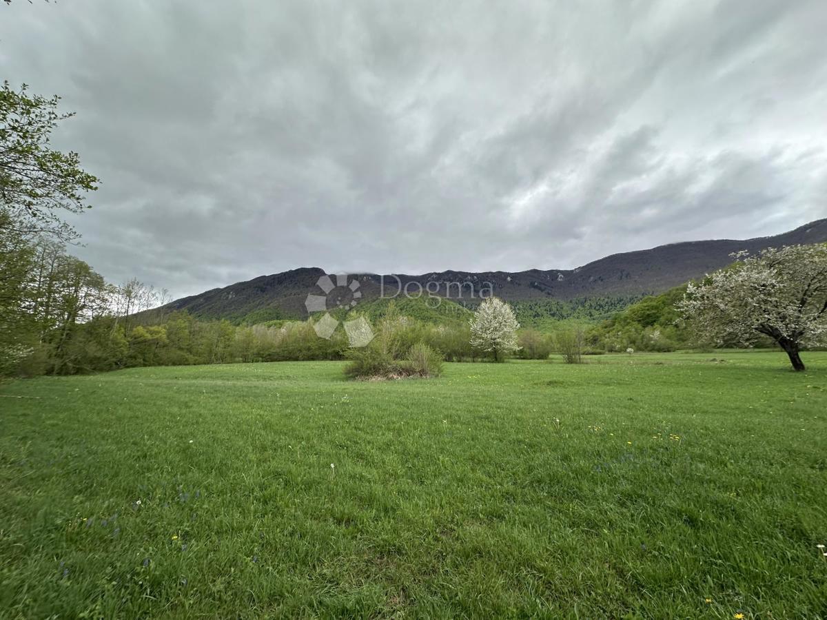 BRUŠANE