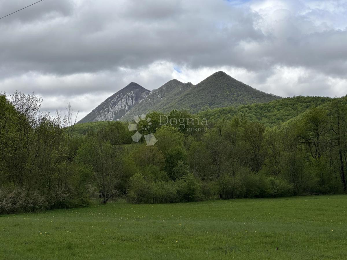BRUŠANE