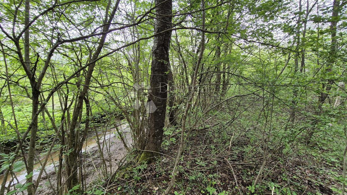 BRUŠANE