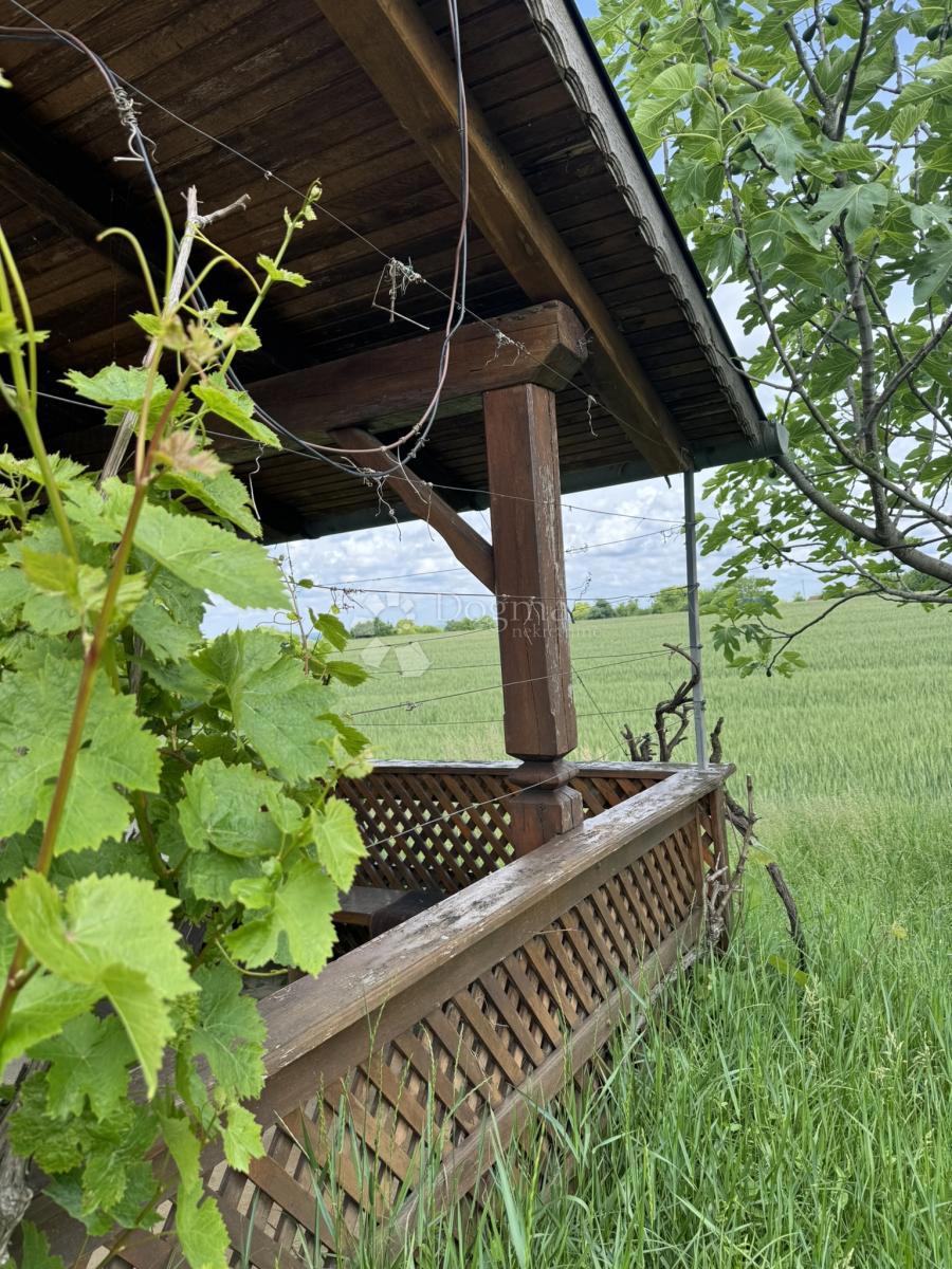 MIČETINAC
