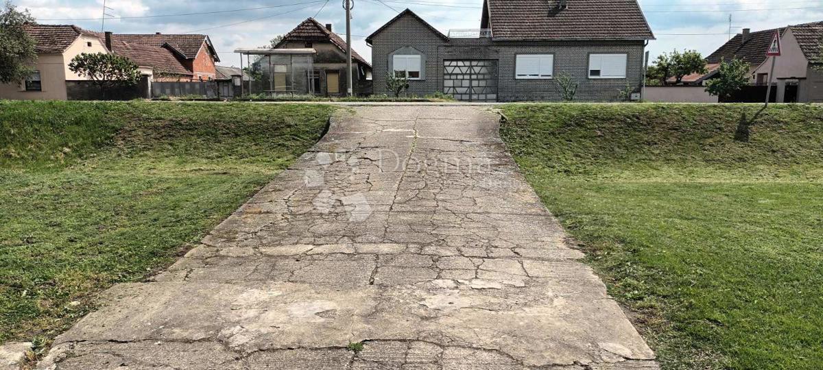 image 16