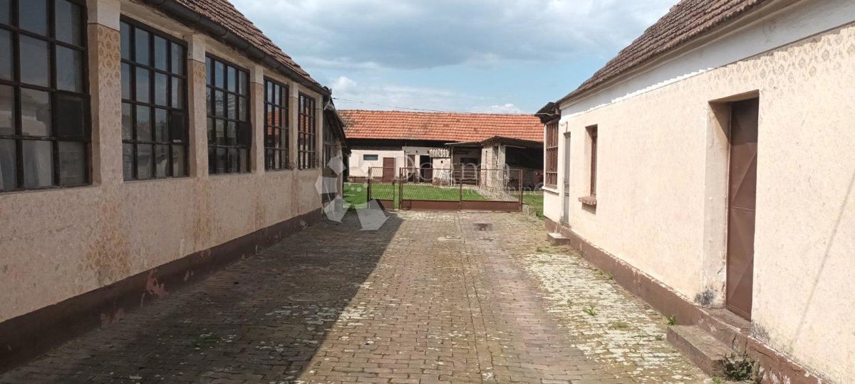 image 15
