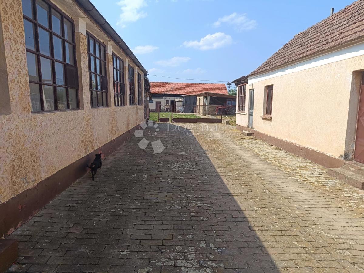 BRŠADIN