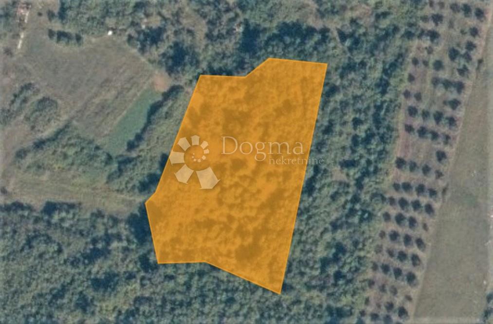 ROVINJSKO SELO