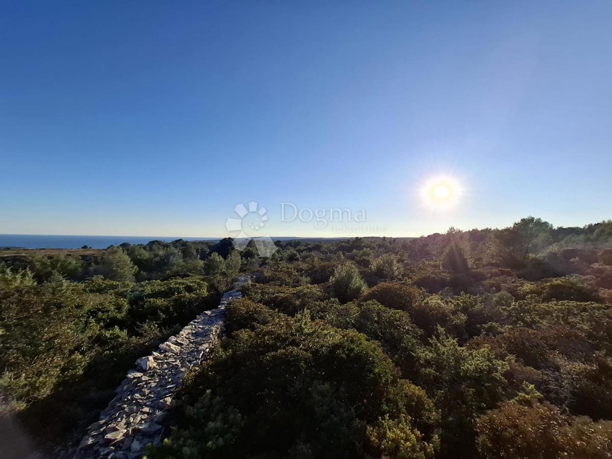 RAKALJ