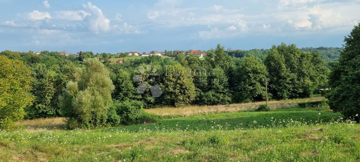 PAVUČNJAK