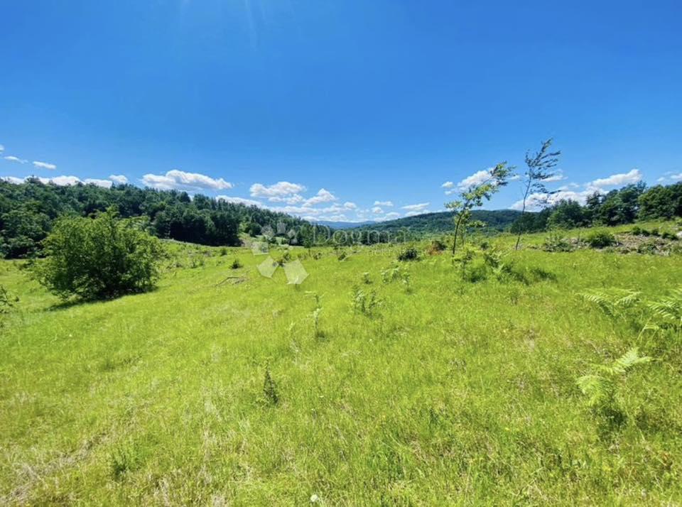 GORNJE PRIMIŠLJE