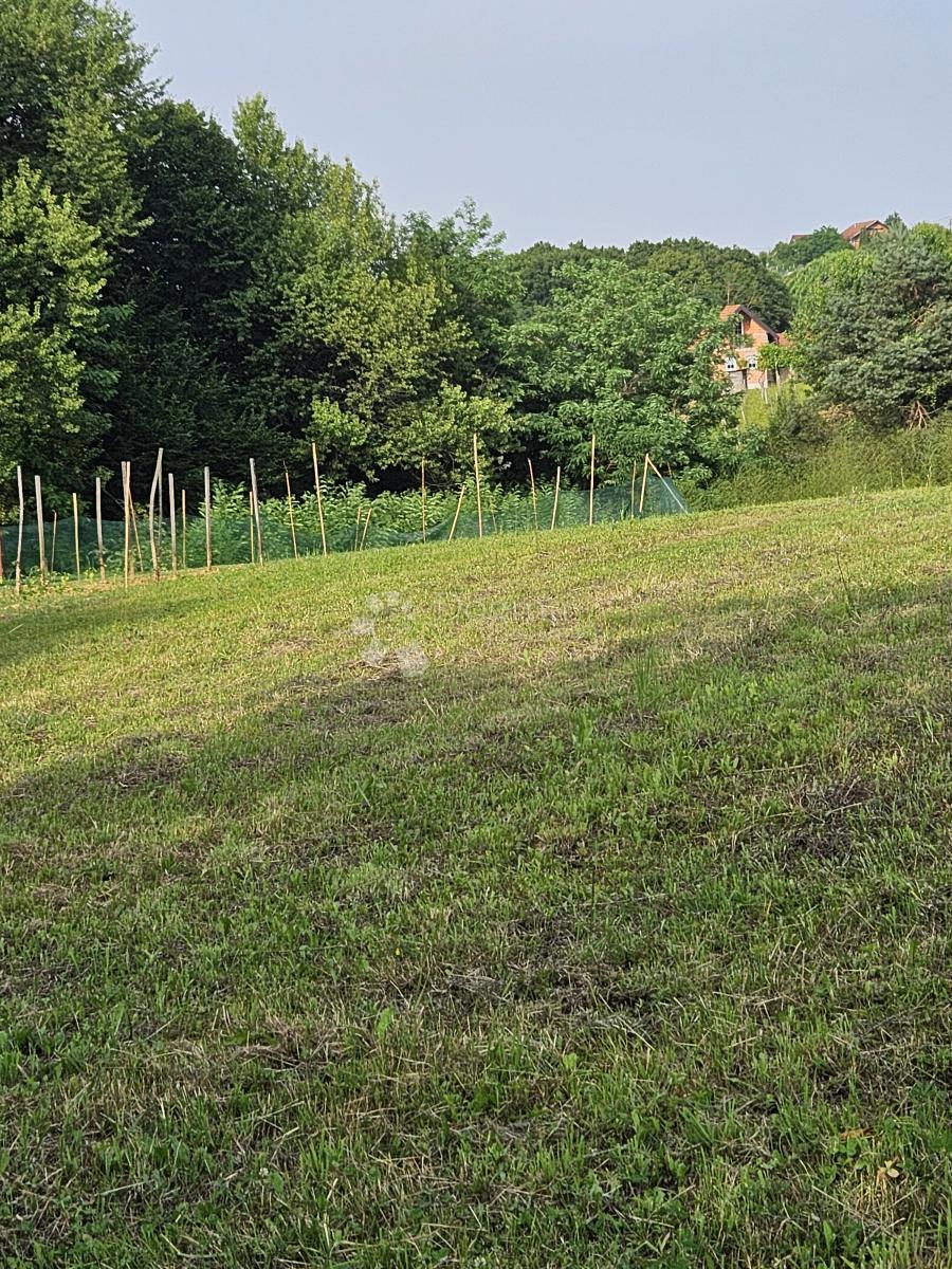 KANIŽA