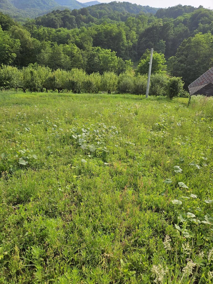 KANIŽA