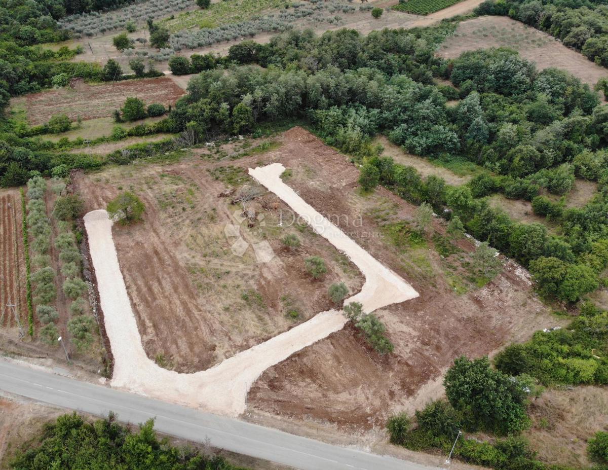 BRTONIGLA