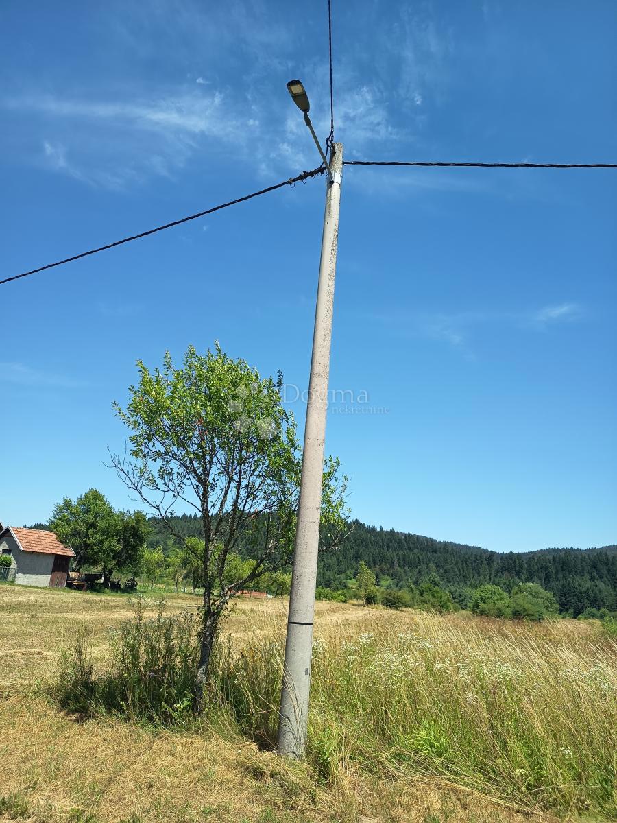 SABORSKO
