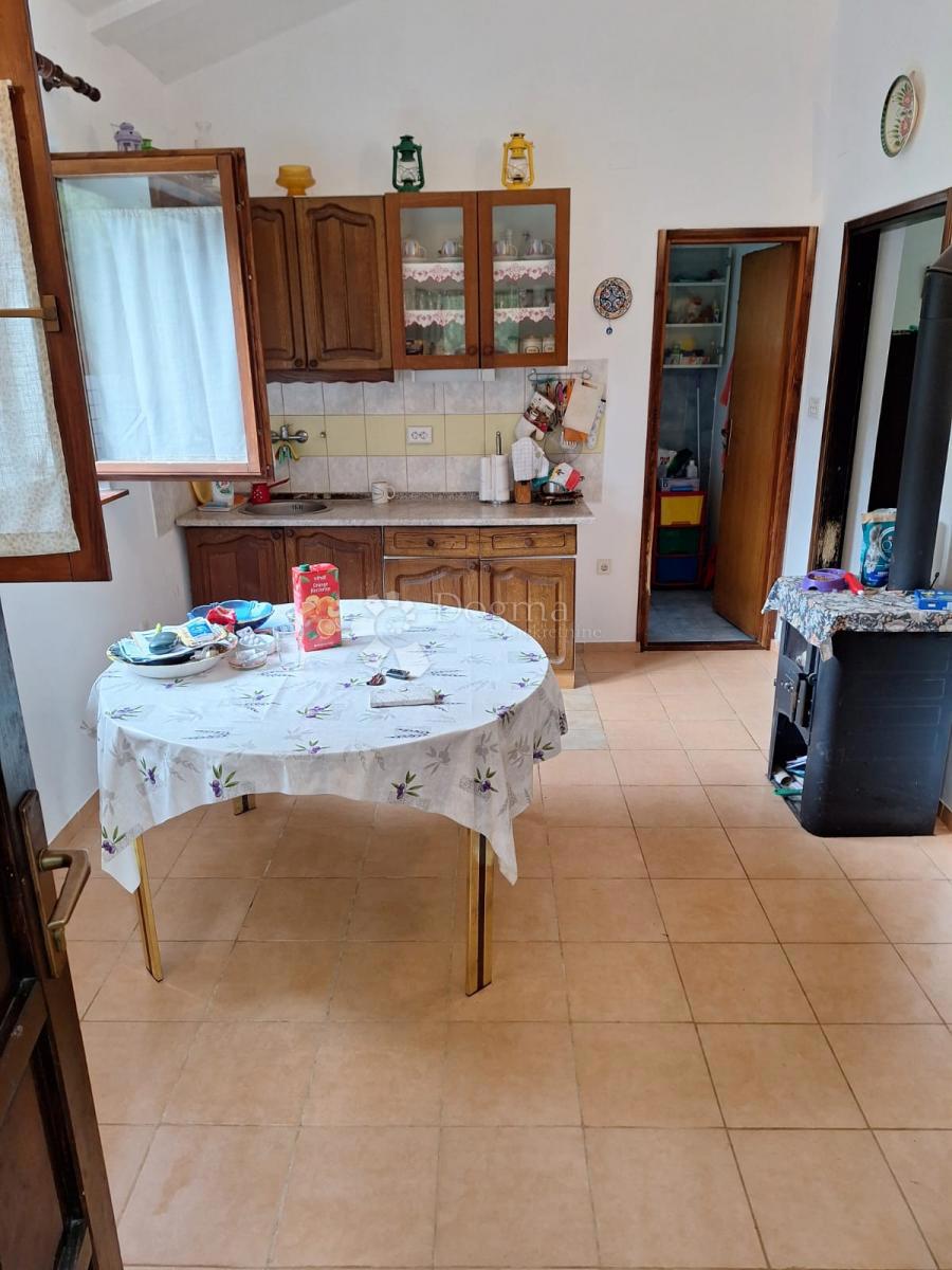 PAVIĆINI