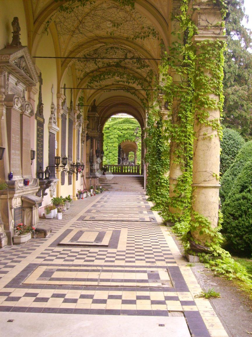 MIROGOJ