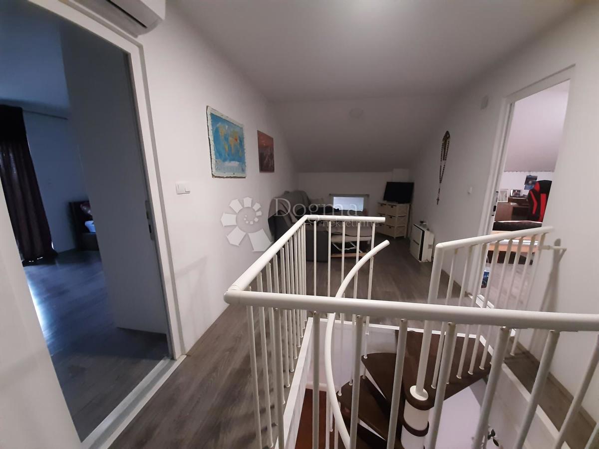 SESVETSKI KOBILJAK