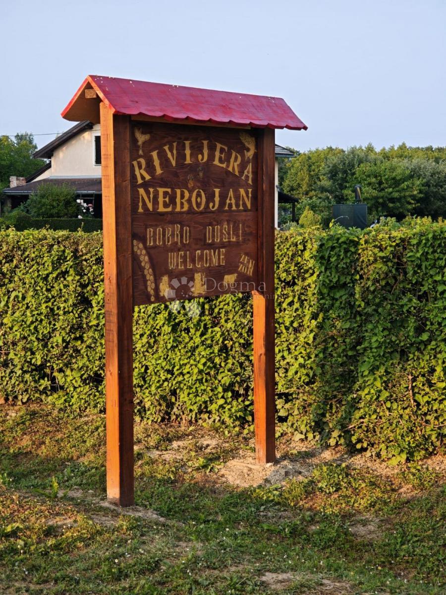 NEBOJAN