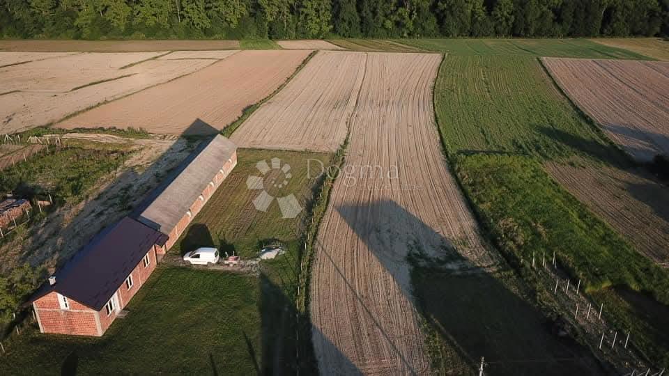 POLJANA KRIŽEVAČKA