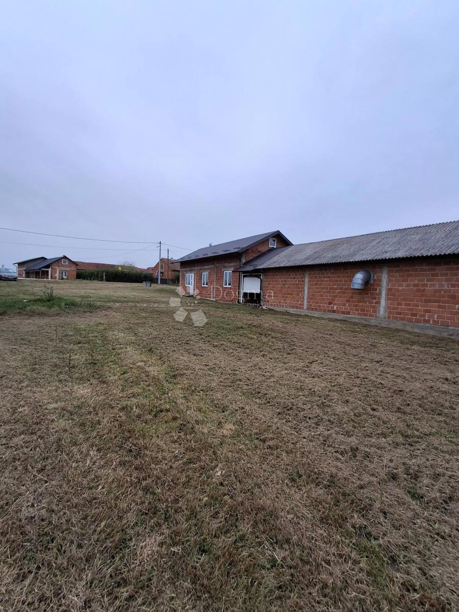 POLJANA KRIŽEVAČKA