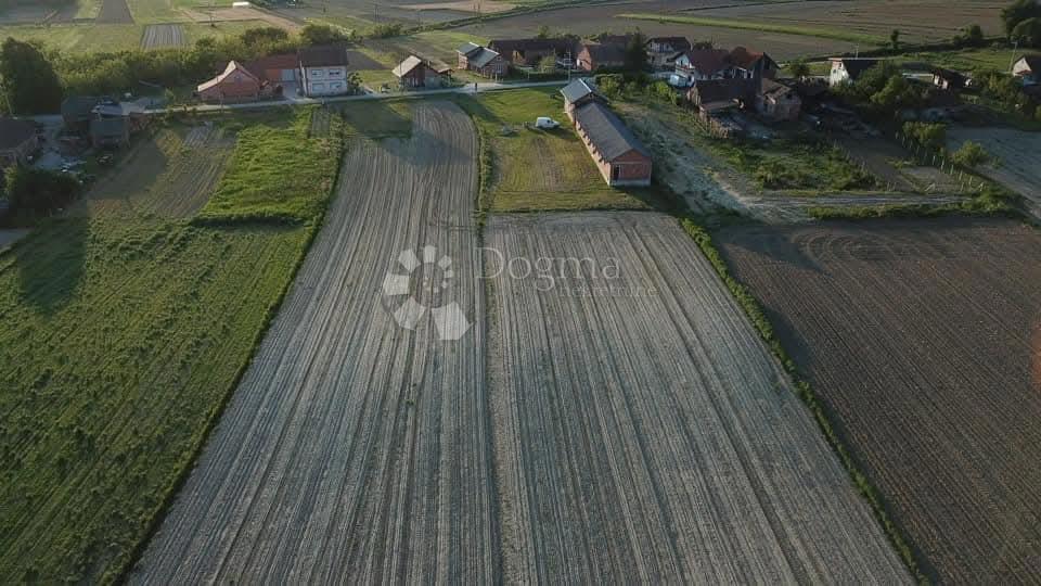 POLJANA KRIŽEVAČKA