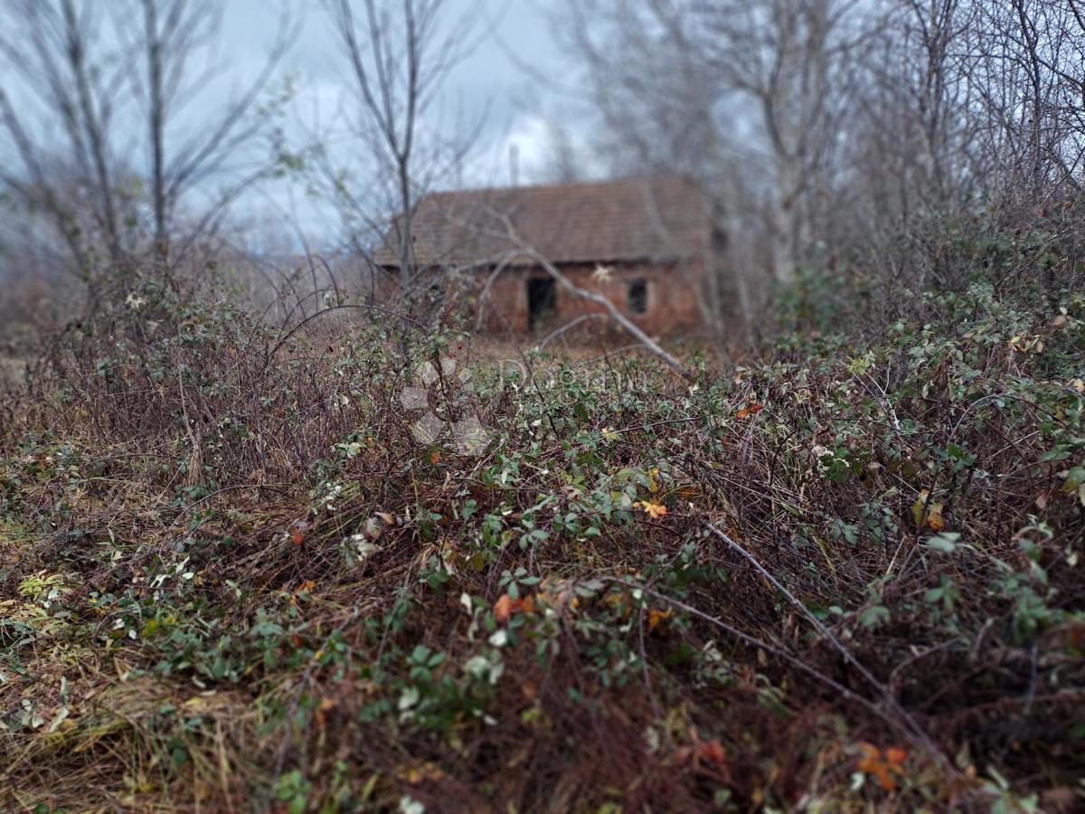 Casa GVOZD, 20.000 €