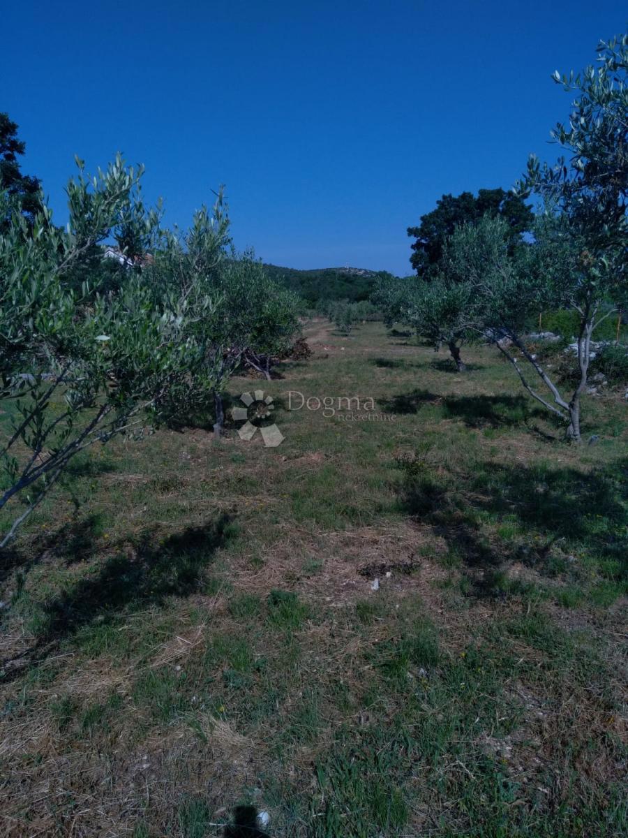 Terreno POSEDARJE, 292.500 €
