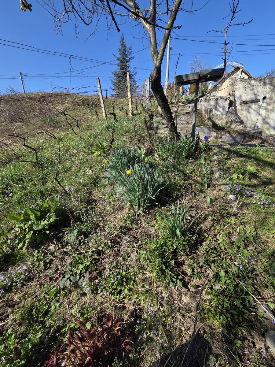 image 30