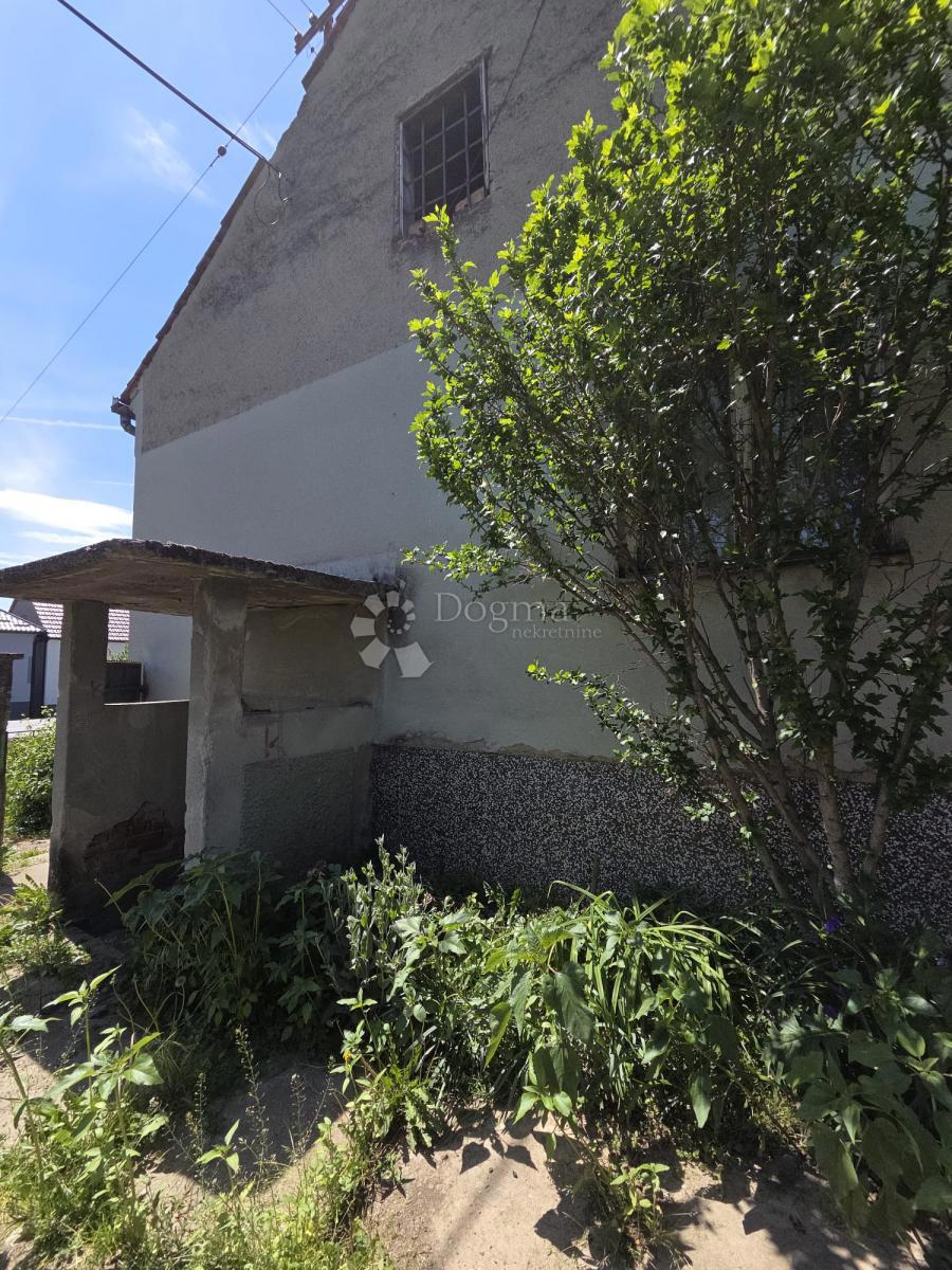 image 18