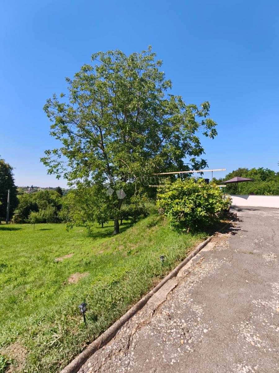 image 28