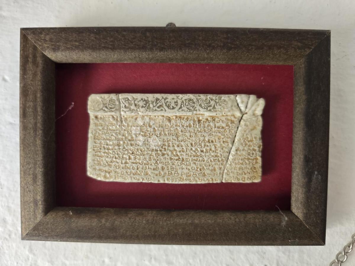 image 21