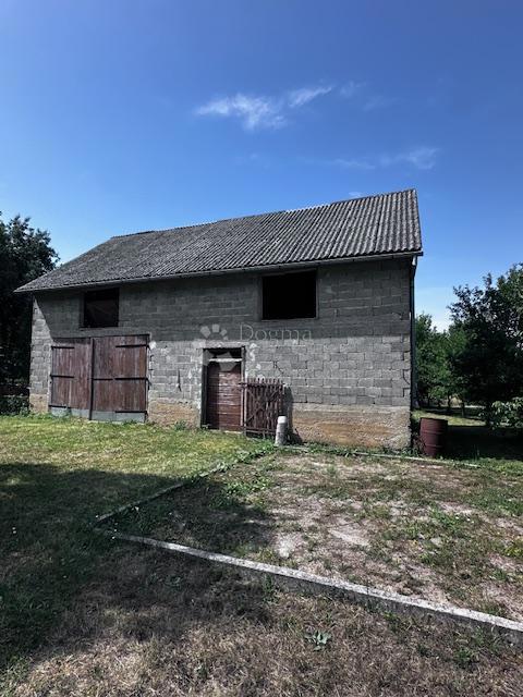 image 25