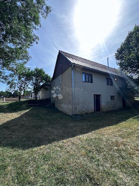 image 27