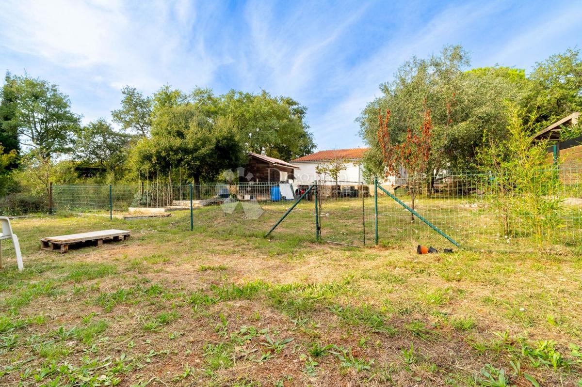 image 14